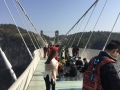 Glass Bridge (12)