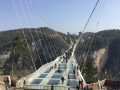 Glass Bridge (2)