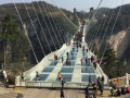 Glass Bridge (3)