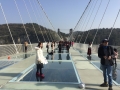 Glass Bridge (4)