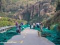 Gouqi Island-77