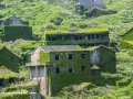 Gouqi Island-83