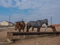 Inner Mongolia-30