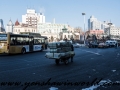 Harbin Street (11 of 24)