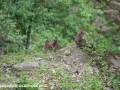 highlands to paro (42 of 62)