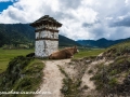 To Pobjikha (66 of 87)