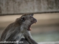 River Safari (47 of 72)