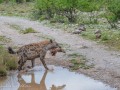 Samburu-09