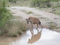 Samburu-14