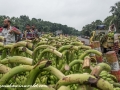 Road to Khulna (15 of 69)