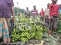 Road to Khulna (18 of 69)