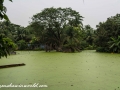 Road to Khulna (27 of 69)