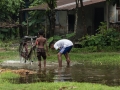 Road to Khulna (3 of 69)