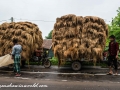 Road to Khulna (4 of 69)