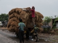 Road to Khulna (5 of 69)