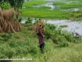 Road to Khulna (66 of 69)