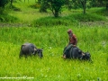 Road to Kushtia (20 of 53)