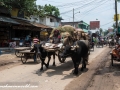 Road to Kushtia (39 of 53)