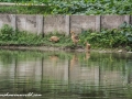 Road to Kushtia (5 of 53)