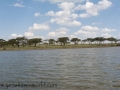 Lake Naivasha (218 of 293)