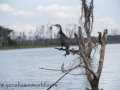 Lake Naivasha (225 of 293)