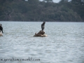 Lake Naivasha (243 of 293)