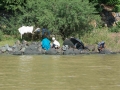 Lake Tana-7