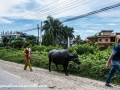 Road to Kathmandu (4 of 74)