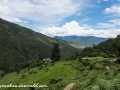 To Punakha (18 of 92)