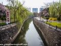 Luoyang Old City-2