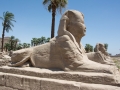 Luxor-21