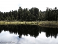 Lake Mapourika-21