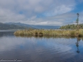 Lake Mapourika-23