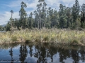 Lake Mapourika-25