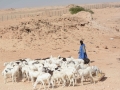 mauritania-24