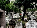 cemetary1