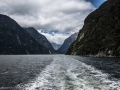 Milford Sound-15