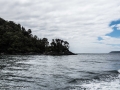 Milford Sound-18