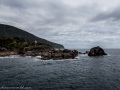 Milford Sound-19