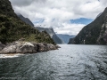 Milford Sound-21