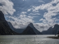 Milford Sound-27