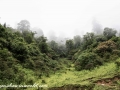 To Punakha (9 of 92)