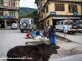 highlands to paro (62 of 62)