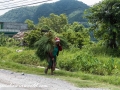 On the Road to Chitwan (37 of 71)