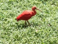 Bird Park (11 of 29)