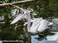 Bird Park (2 of 29)