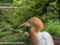 Bird Park (8 of 29)