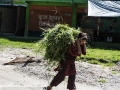 OTR to Pokhara (36 of 75)