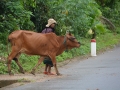 The People of Vietnam-48.JPG