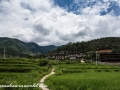 To Punakha (48 of 92)